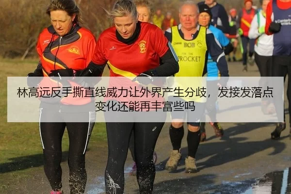 林高远反手撕直线威力让外界产生分歧，发接发落点变化还能再丰富些吗